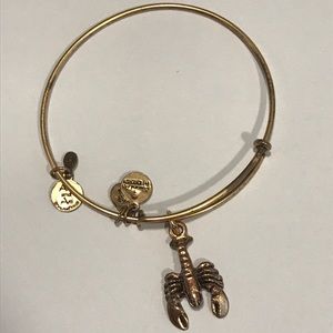 Alex and Ani Bangle